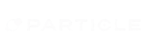 Particle